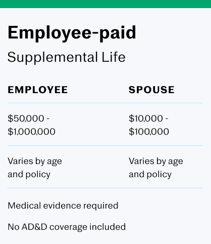 What Is employee life insurance?